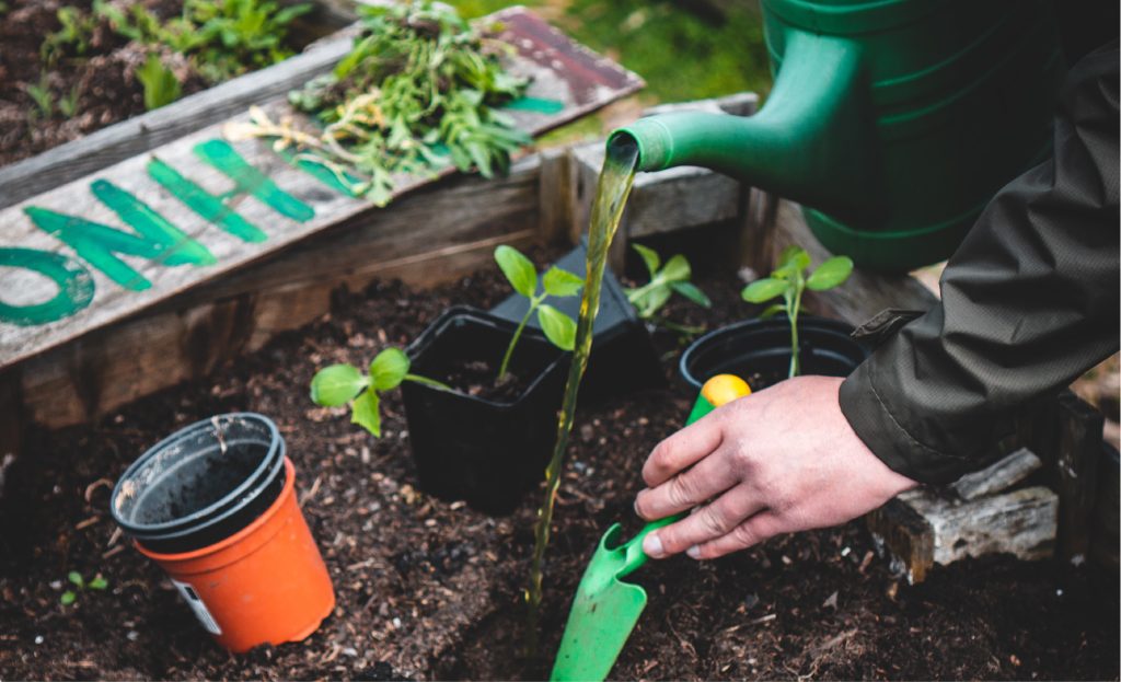 person gardening